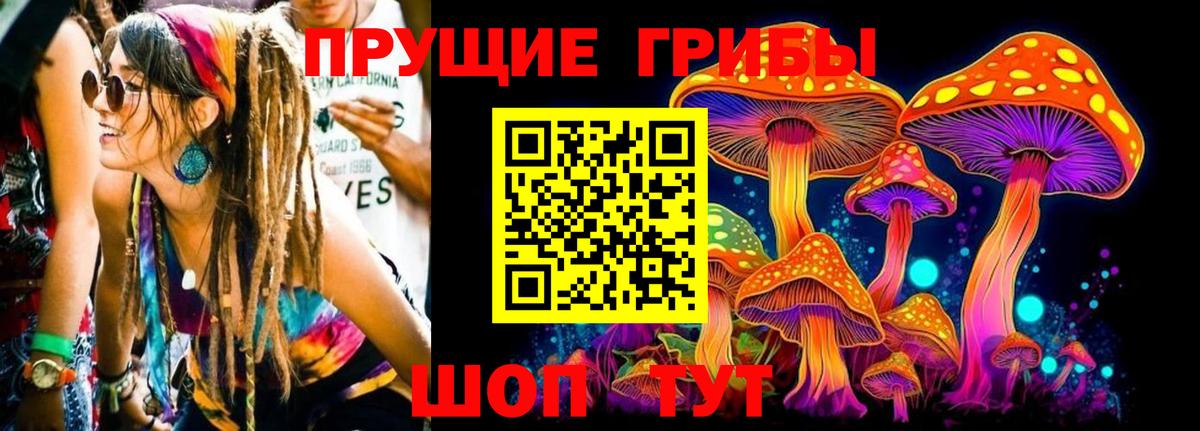 Галлюциногенные грибы Psilocybine cubensis Тюмень
