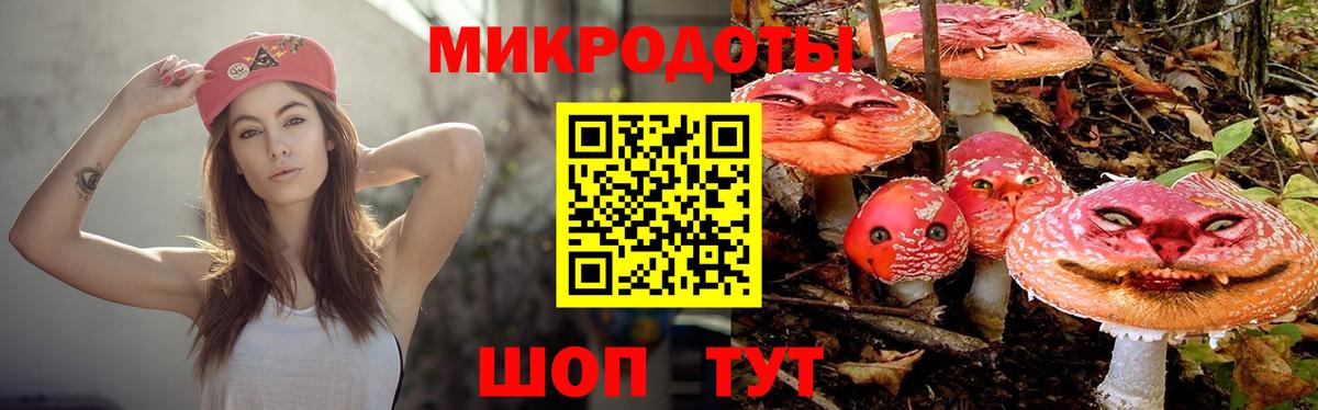 Галлюциногенные грибы Psilocybe  Вход с VPN  цены наркотик  Тюмень 